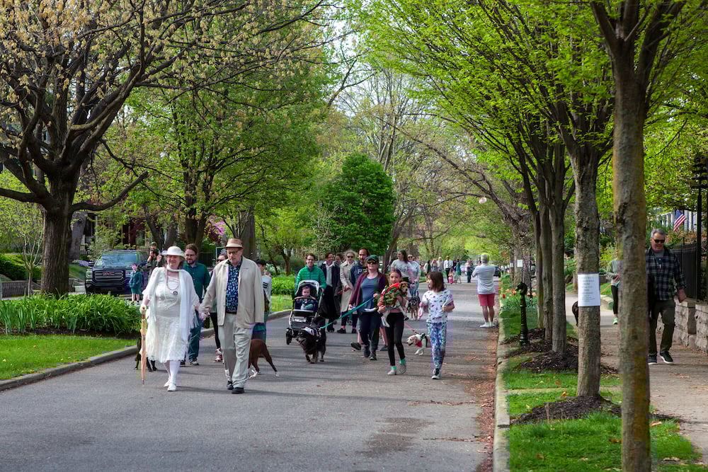 2022 dog parade NNJ-1 (1)