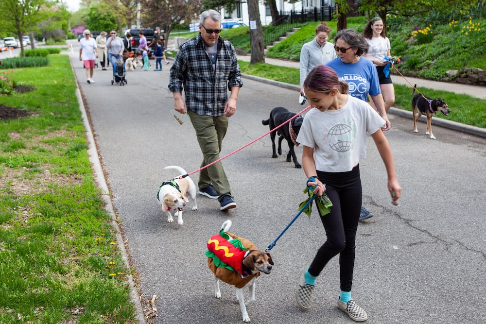2022 dog parade NNJ-5 (1)